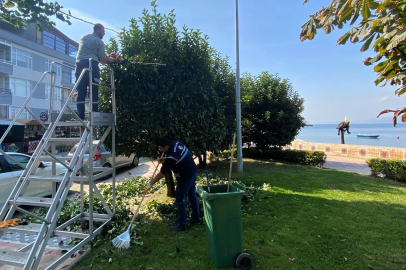 Kocaeli Büyükşehir'den yeşil alanlara özel bakım