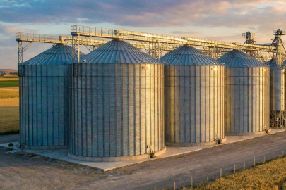 TMO'dan piyasaya müdahale! Şubat'ta 3,9 milyon ton hububat satışta