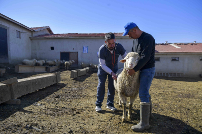 Ankara’da kırsaldaki üreticiye can suyu