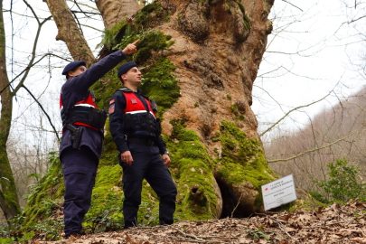 Yalova’da Jandarma turizm bölgelerinde güvenliği artırdı
