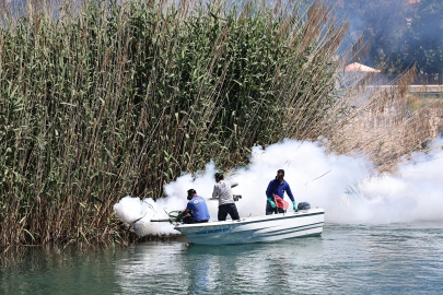 Antalya’da denizden karaya ilaçlama yapılıyor